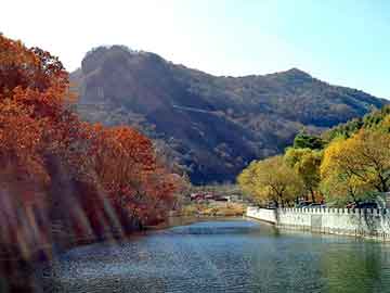 澳门二四六天天彩图库，流氓传奇